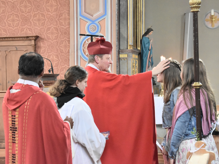 Katharina Mayrhuber,MSc